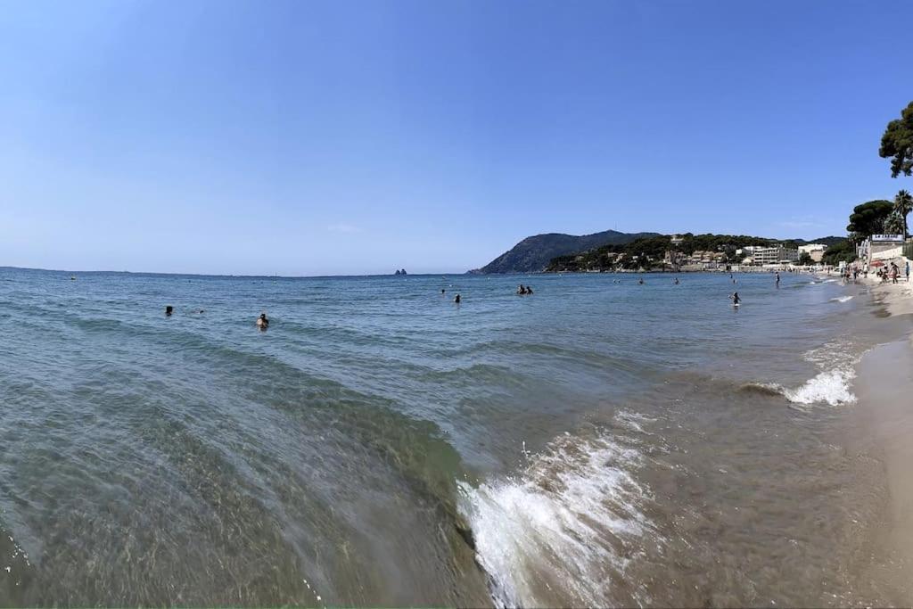La Perle De Toulon Lägenhet Exteriör bild
