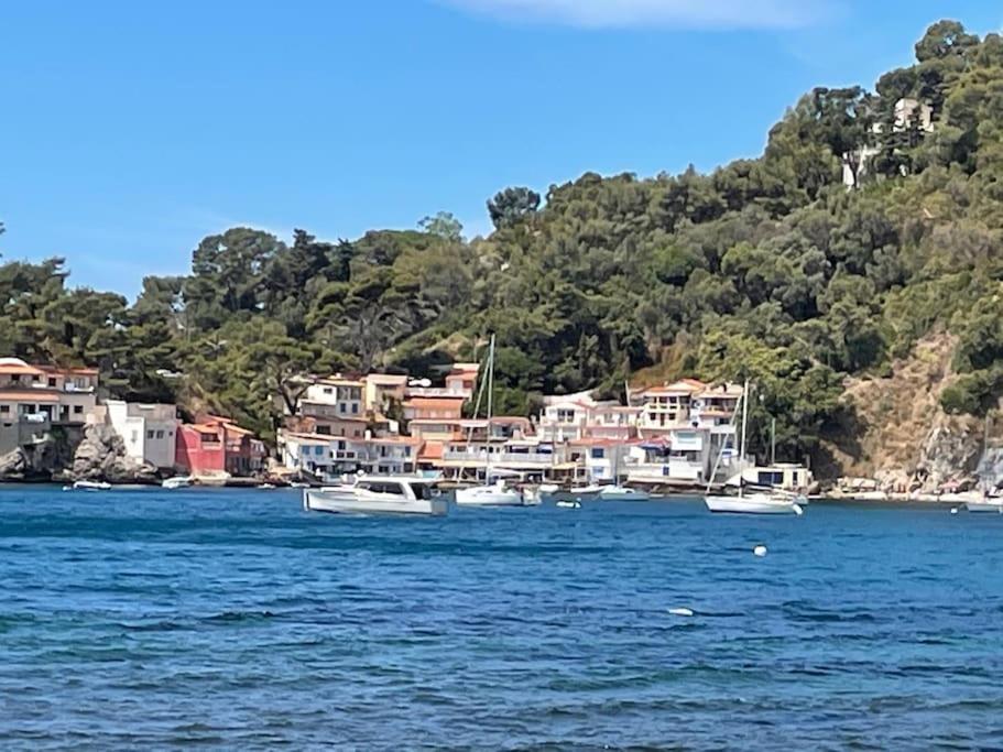 La Perle De Toulon Lägenhet Exteriör bild
